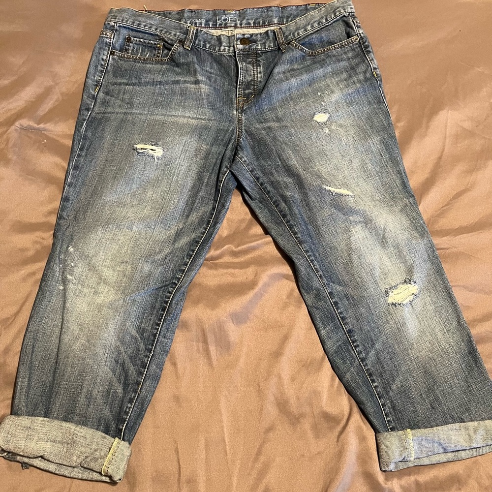 Ann Taylor Loft Capris